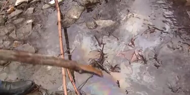 an apparently contaminated creek in East Palestine, Ohio