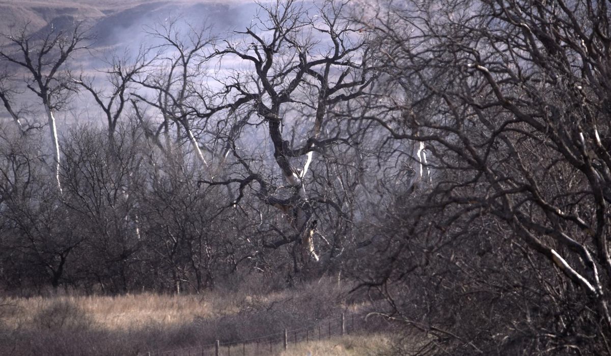 Wind spreads wildfires in Texas