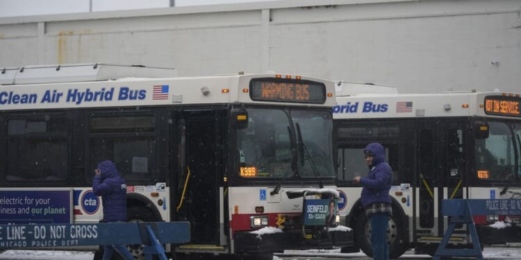 Chicago bus driver union president calls for National Guard on city's transit system