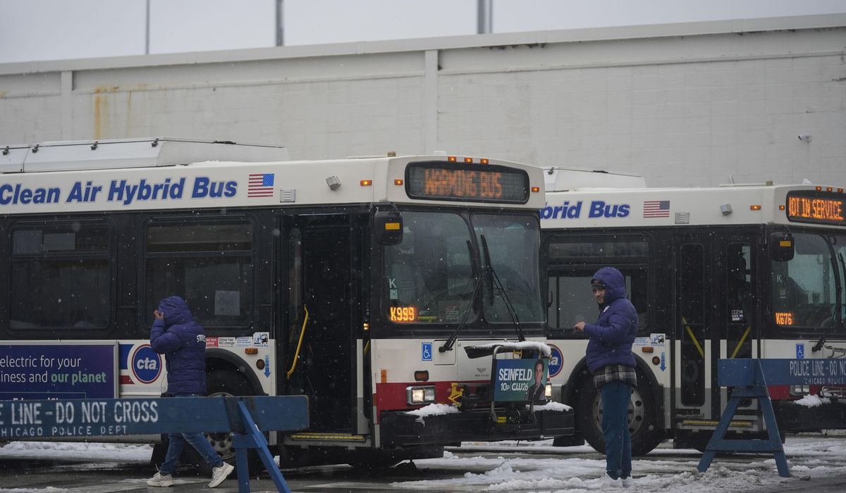 Chicago bus driver union president calls for National Guard on city's transit system