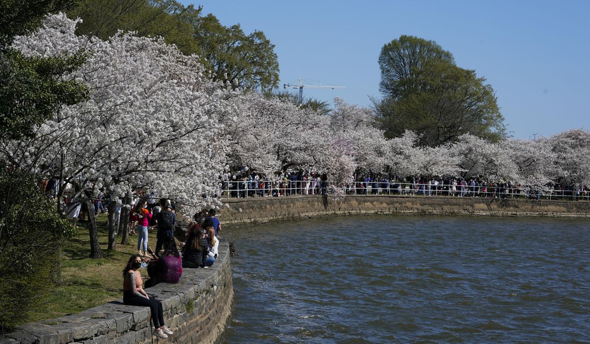 Inside the Beltway: Tending the sea walls