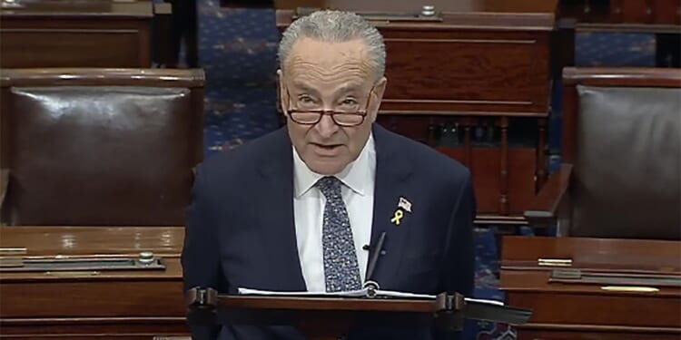 Top Democrat Chuck Schumer calls for new elections in Israel, saying Netanyahu has 'lost his way'