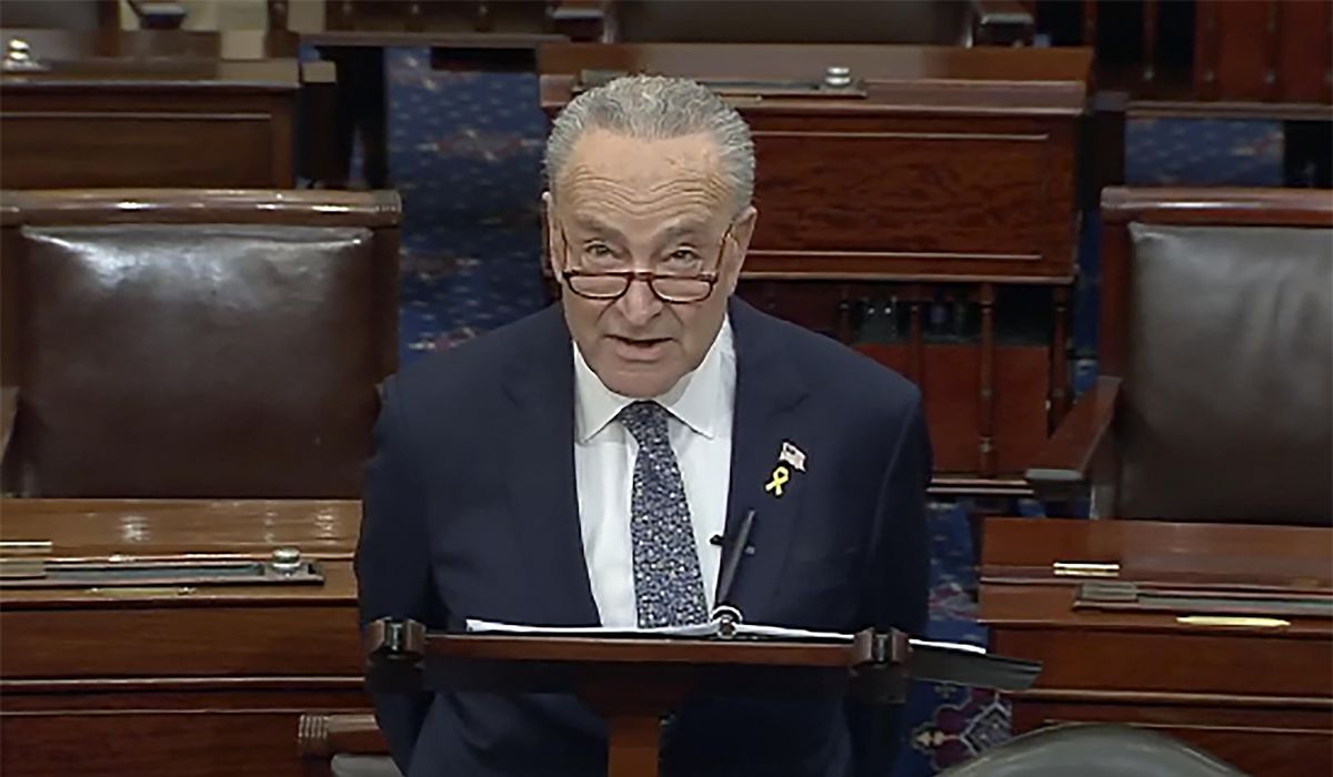 Top Democrat Chuck Schumer calls for new elections in Israel, saying Netanyahu has 'lost his way'