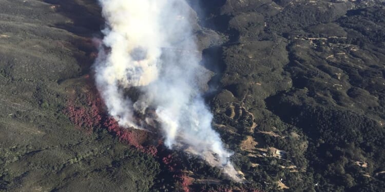 Hiker missing in California found dead in Los Padres National Forest