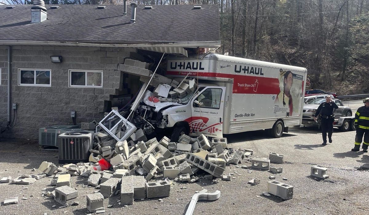 West Virginia animal shelter makes plea for help in fostering dogs after truck crashes into building