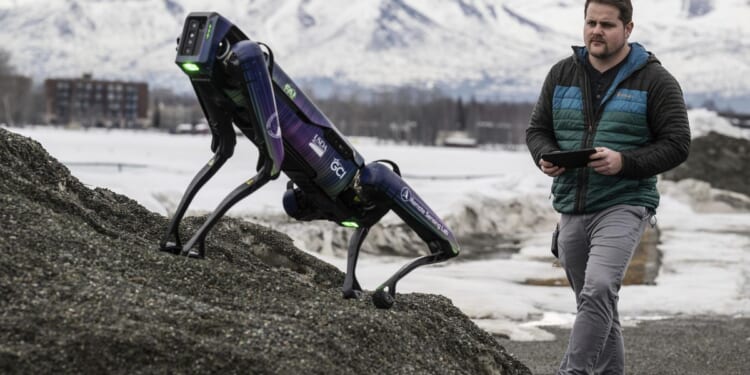 Robot disguised as a coyote or fox will scare wildlife away from runways at Alaska airport