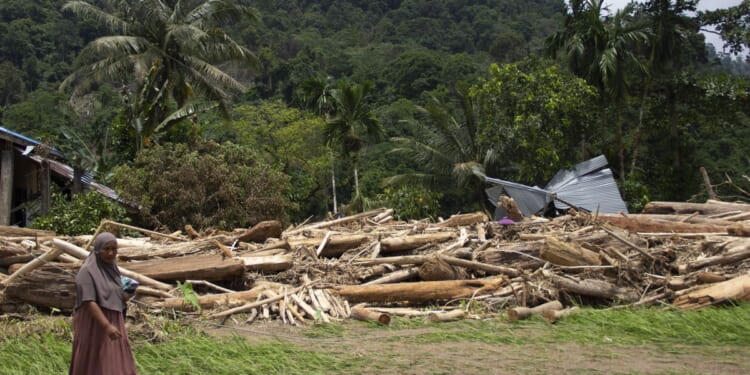 In Indonesia, deforestation is intensifying disasters from severe weather and climate change