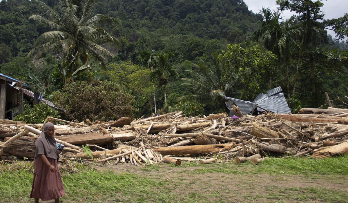 In Indonesia, deforestation is intensifying disasters from severe weather and climate change