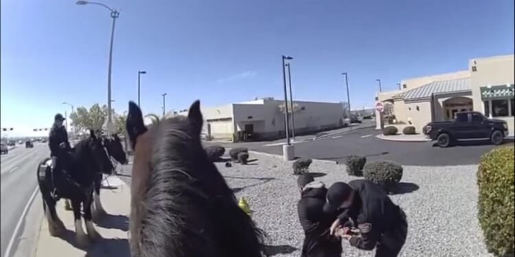 Shoplifter chased by police on horses in New Mexico