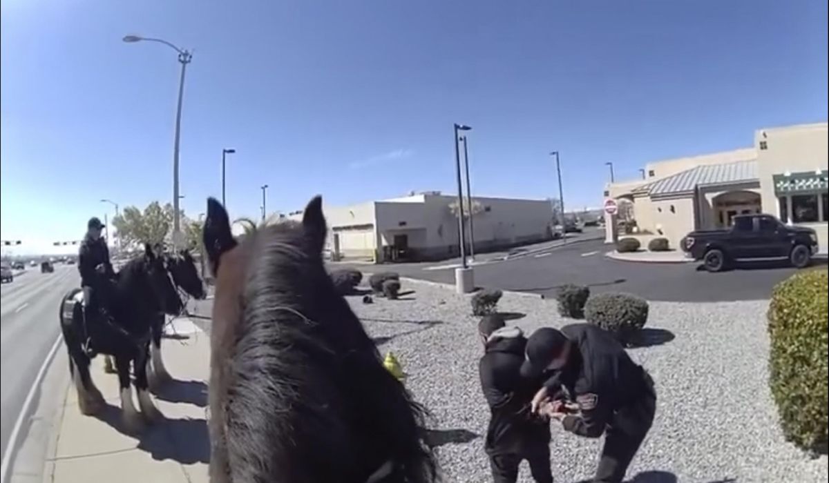 Shoplifter chased by police on horses in New Mexico