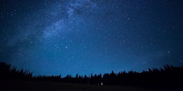 stars in the night sky over a field of trees in Yellowstone Park