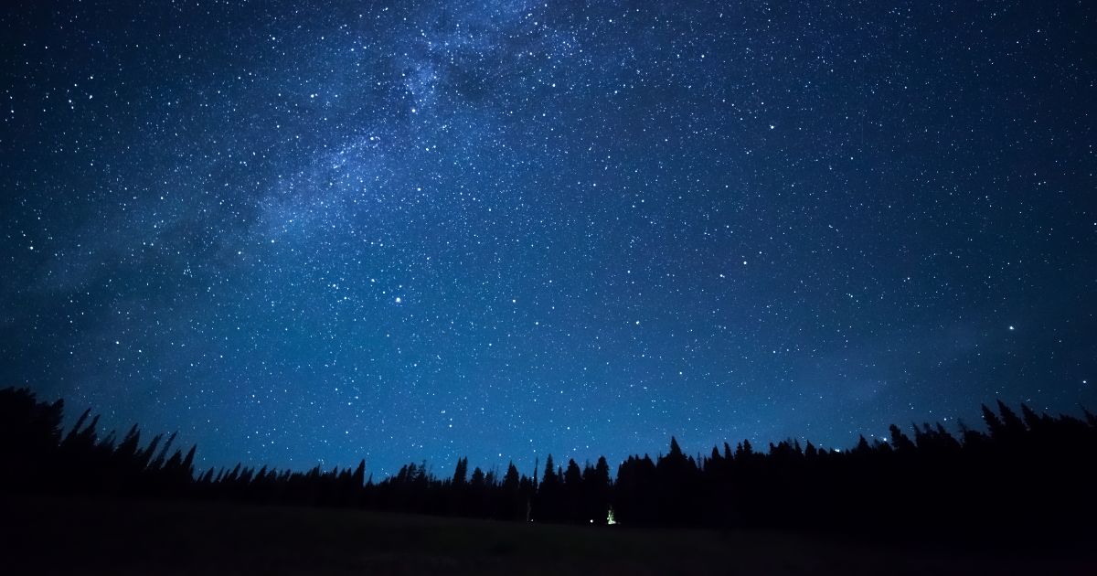 stars in the night sky over a field of trees in Yellowstone Park