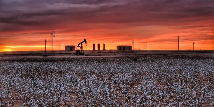 An undated stock photo shows a cotton field in Midland, Texas, with a pump jack in the background at sunrise.