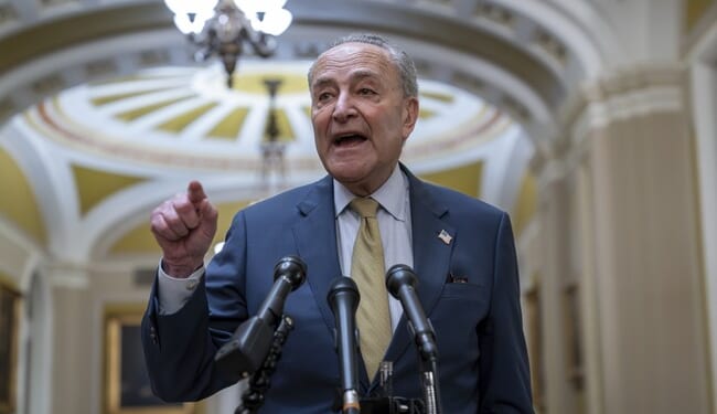 Schumer Wants Netanyahu Ousted, Calls for New Elections in Israel – PJ Media