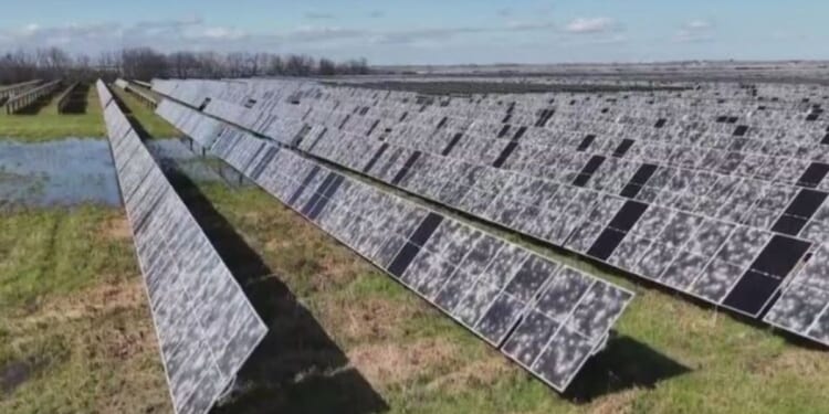 A violent hailstorm on March 16 caused significant damage to the 3,300-acre solar farm in Fort Bend County, Texas, prompting fears of possible leaking chemicals.