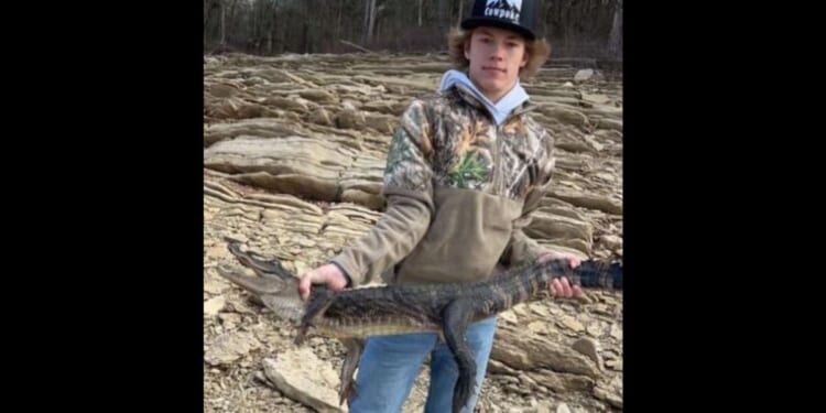 Wildlife officials received a call on Monday evening informing them that an angler had caught an alligator in Norris, Tennessee, in the eastern part of the state.