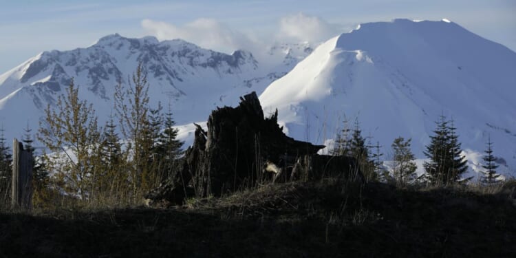 Climber dies after falling into crater of Mount St. Helens on his 29th trip to summit