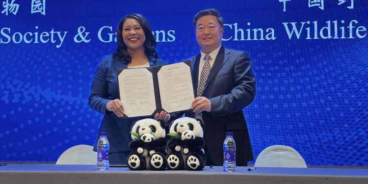 San Francisco mayor announces the city will receive pandas from China