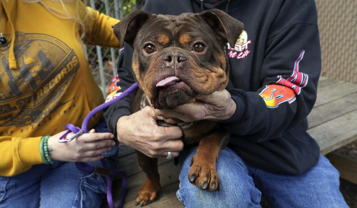 Finding an apartment might be easier for California pet owners under new legislation