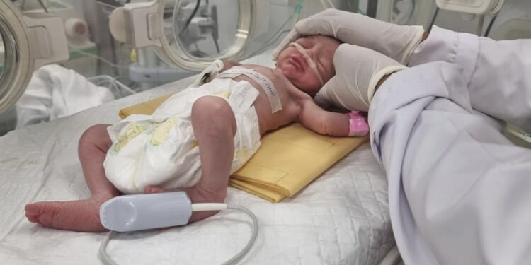 Palestinian baby Sabreen Jouda born orphaned in urgent cesarean section after Israel strike in Rafah