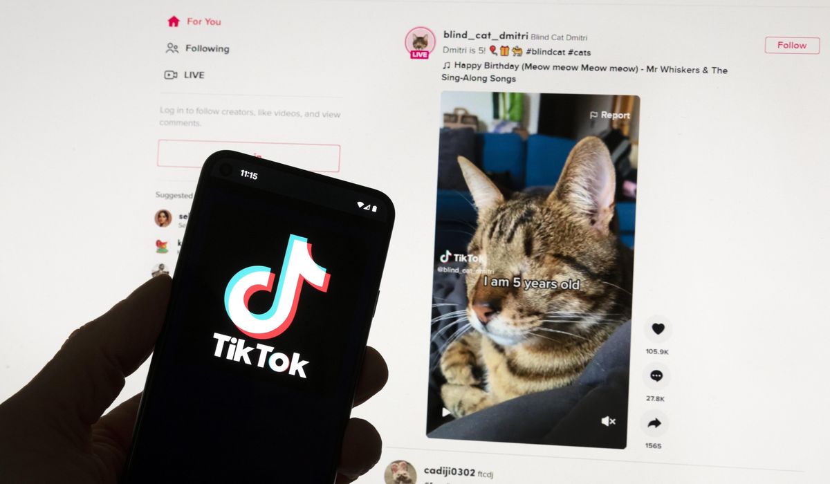 European Union ratchets up pressure on TikTok's rewards app over risks to kids, warns of suspension