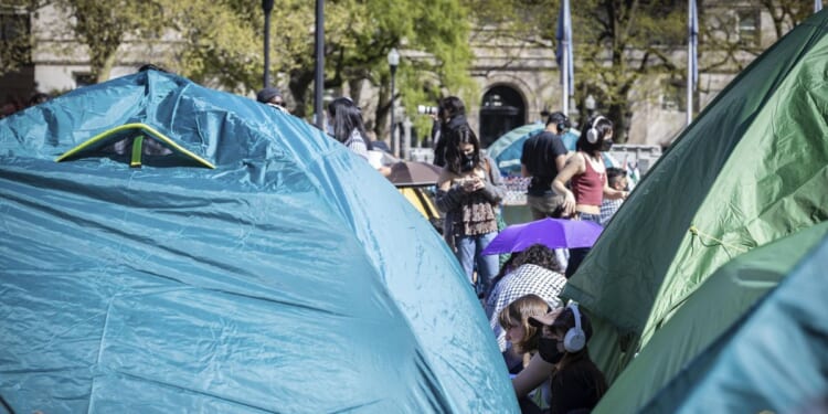 Speaker Johnson urges Columbia president to resign, scolds student protesters to 'go back to class'