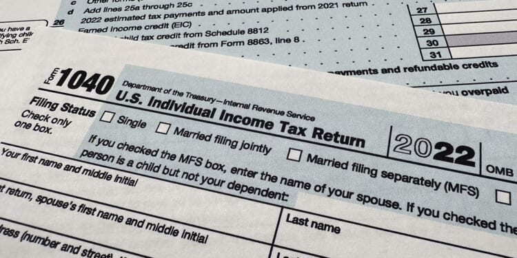 IRS' hyped Direct File tax software struggles with slow start