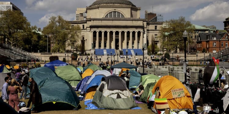 Protests about the war in Gaza have emerged on U.S. college campuses