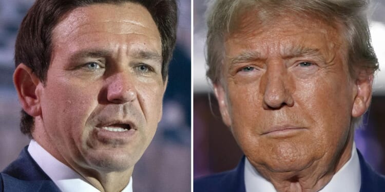 Donald Trump and Ron DeSantis meet to bury the hatchet