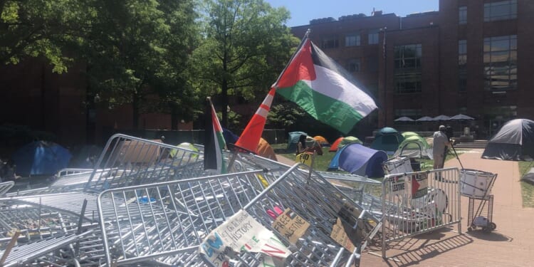 George Washington University students ready to sacrifice grades, career prospects for pro-Gaza camp