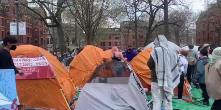 Pro-Hamas protesters erect a tent city at Harvard University.