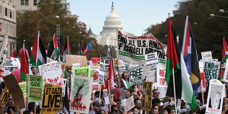 Protesters gather in Freedom Plaza during the National March on Washington, calling for a ceasefire between Israel and Hamas on Nov. 4, 2023 in Washington, D.C.