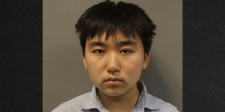 Police said Andrea Ye, who identifies as transgender and now goes by the name Alex Ye, described plans to shoot up a high school and elementary school.