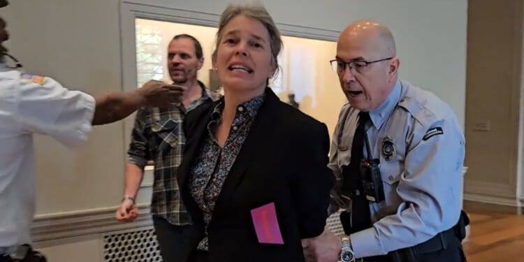 A climate activist is arrested at the National Gallery of Art in Washington.