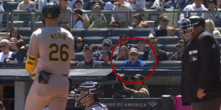 Umpire Hunter Wendelstedt, right, ejected Yankees manager Aaron Boone on Monday after a fan, circled, yelled at him. Whether Wendelstedt originally believed it was Boone, he defended the ejection, claiming the comment came from the bench and the manager should have controlled his players.