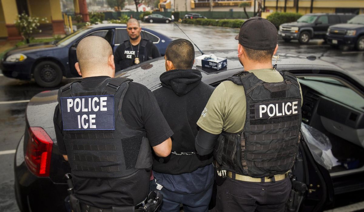 GOP pushes bill to tell DHS if illegal immigrant tries to buy a gun