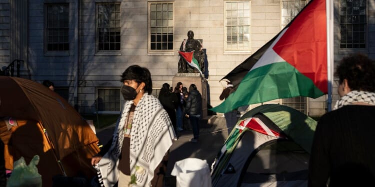 A student protester stands in front of the statue of John Harvard, the first major benefactor of Harvard College, draped in the Palestinian flag, at an encampment of anti-Israel demonstrators at Harvard University in Cambridge, Massachusetts on Thursday.