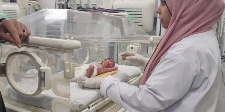 Premature infant rescued from her dead mother's womb dies in Gaza after 5 days in an incubator