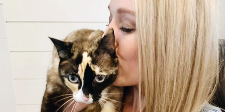 Utah cat Galena takes surprise trip to California in Amazon box