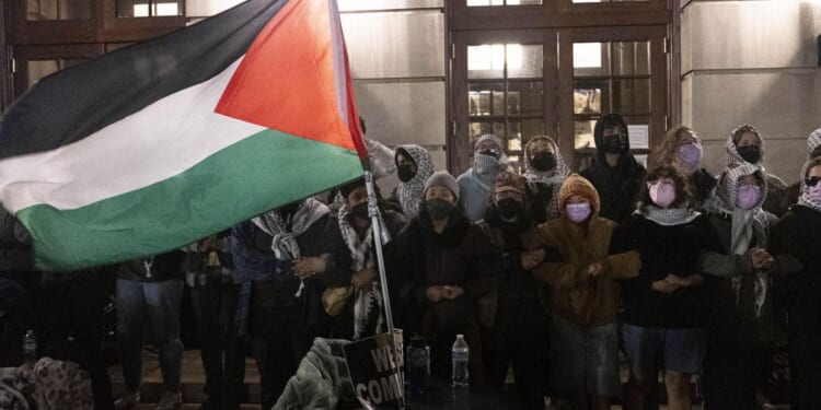 Anti-Israel protests infiltrated by 'outside agitators' who radicalize students, sow violence