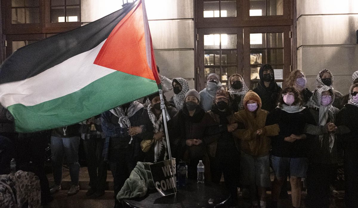 Anti-Israel protests infiltrated by 'outside agitators' who radicalize students, sow violence