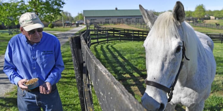 Ex-Derby winner Silver Charm lives a life of leisure and Old Friends at Kentucky retirement farm