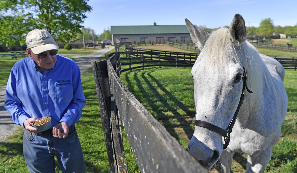 Ex-Derby winner Silver Charm lives a life of leisure and Old Friends at Kentucky retirement farm