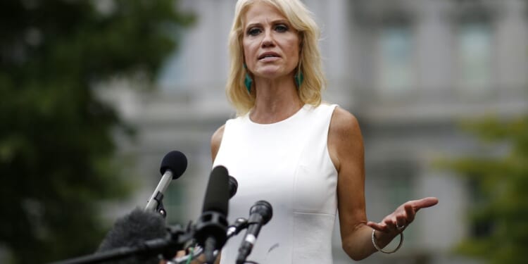 Kellyanne Conway backs early voting: 'You adapt or you die politically'