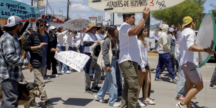 Surfers from Australian and America killed in Mexico in truck theft, authorities say