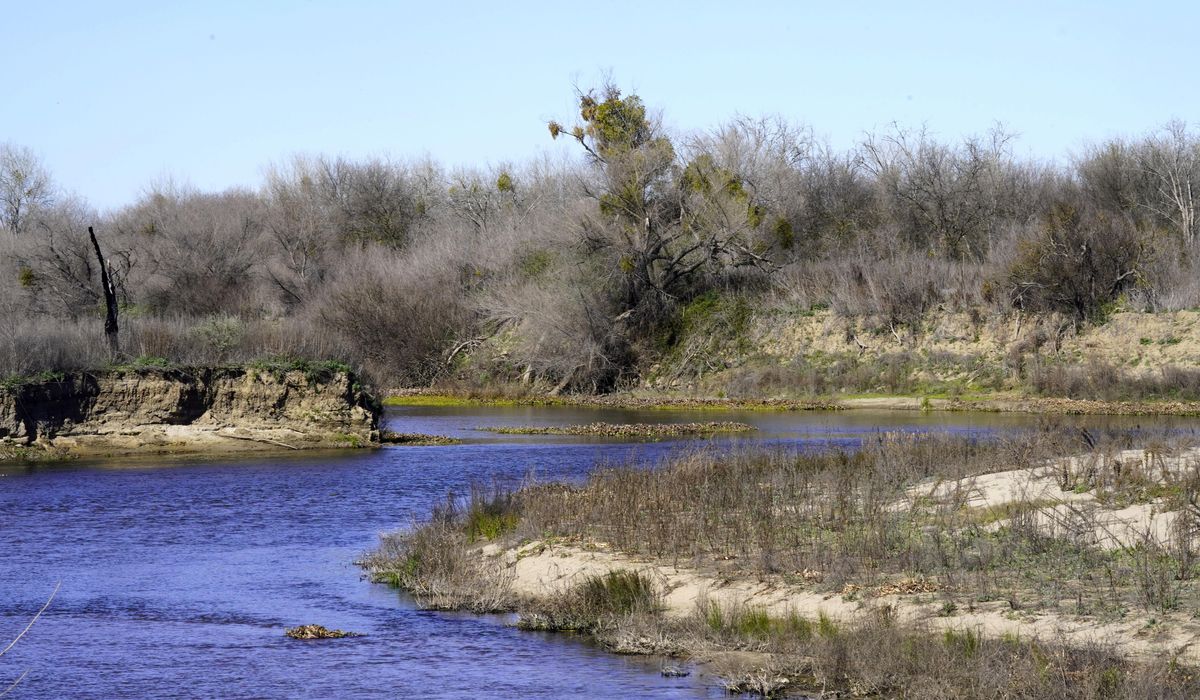 Woman missing in California's San Joaquin River after jumping in to save her daughter