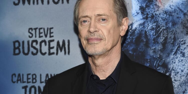 Steve Buscemi punched in the face in New York City