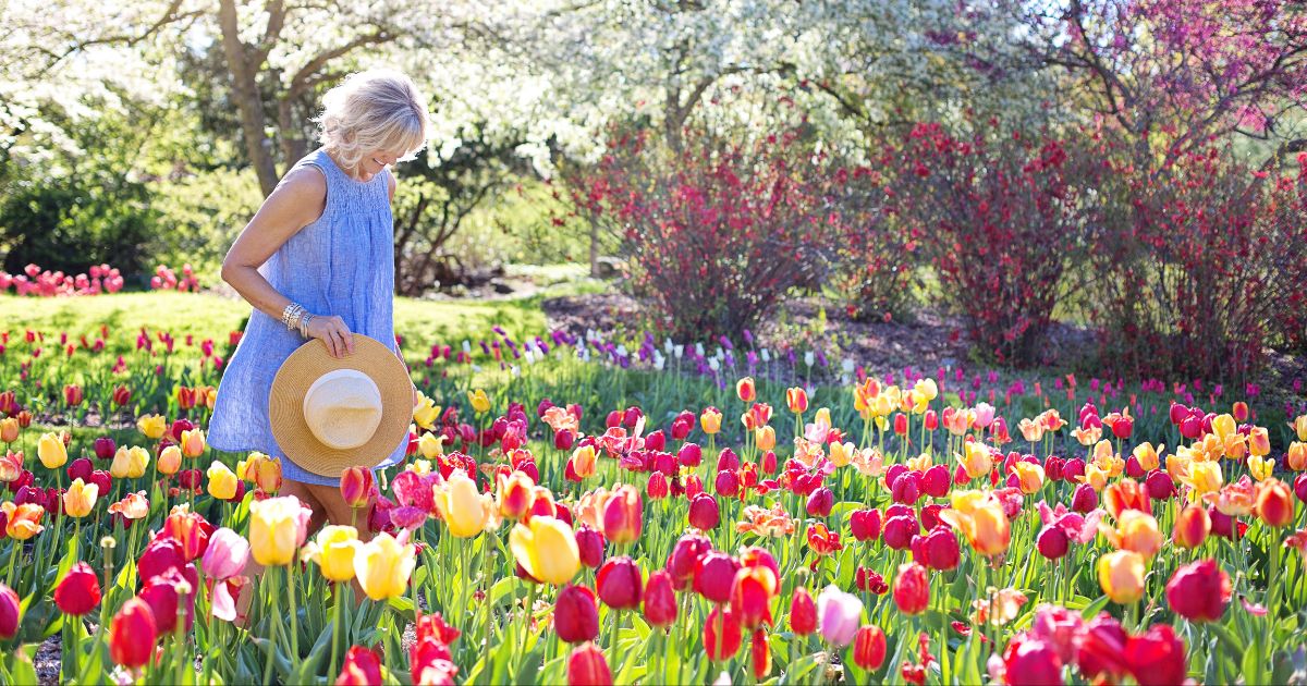 In this photo, a woman is walking through a field of tulip flowers while holding her hat in her hand.