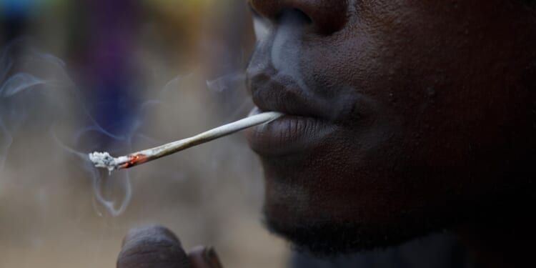 A synthetic drug ravages youth in Sierra Leone. There's little help, and some people are chained