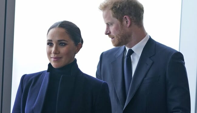 The Dog Ate Harry and Meghan's Archewell Foundation Homework – PJ Media